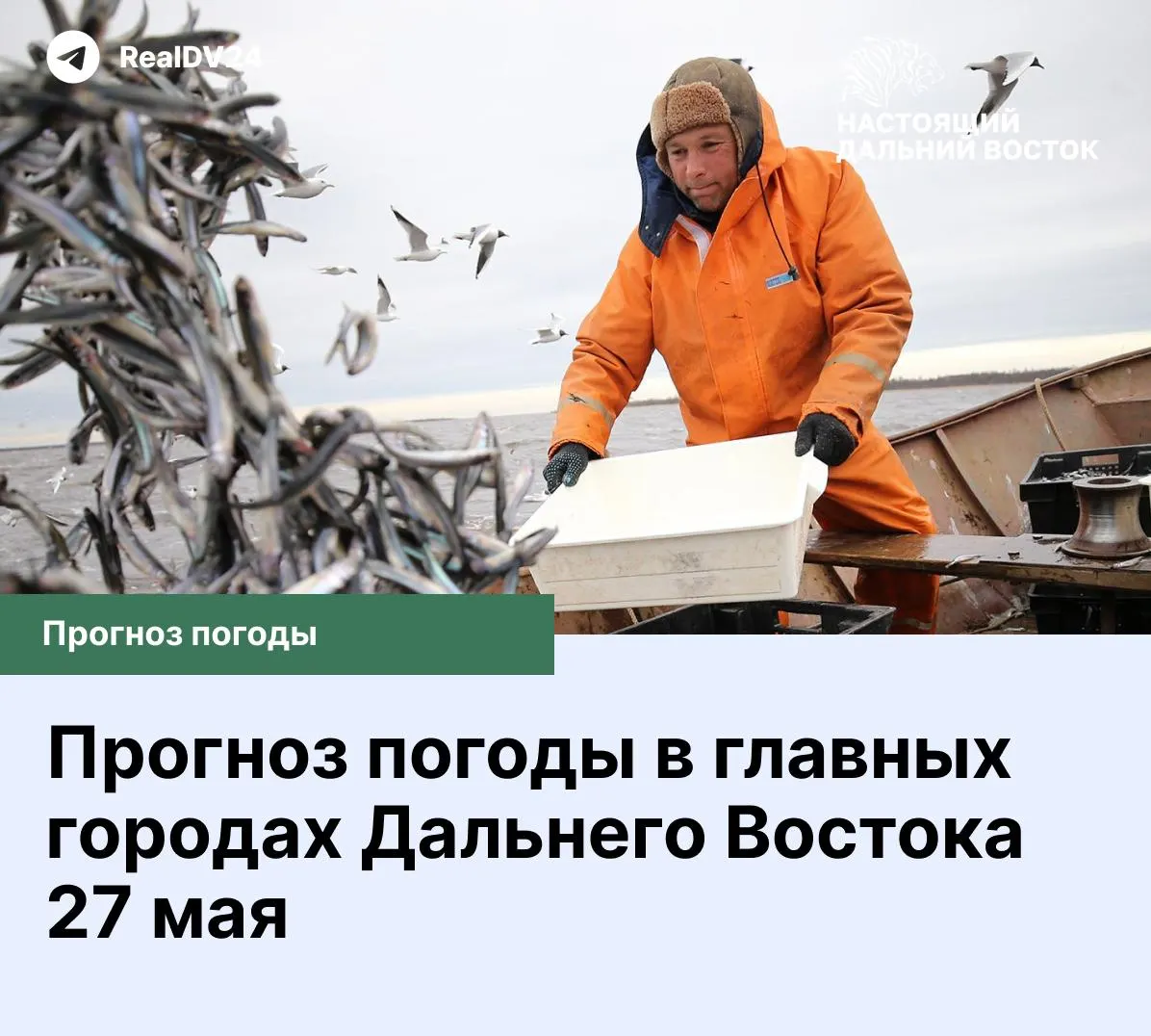 Короткий прогноз для главных городов Дальнего Востока: облачно в Приморье, дождь в Петропавловске‑Камчатском, прохладнее в Анадыри и Магадане.