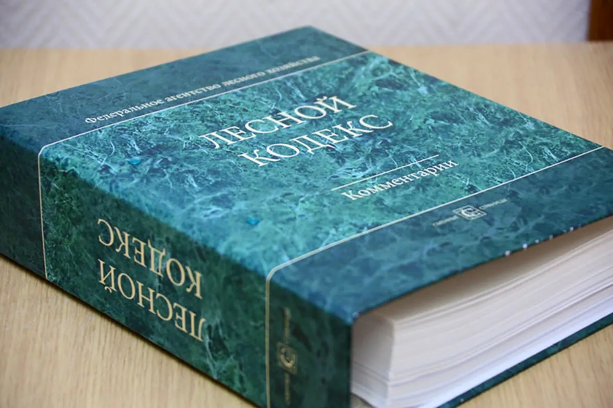 Эксперт по лесному хозяйству отмечает, что многочисленные поправки сделали Лесной кодекс фактически новым документом. Он считает, что кодекс устарел и требует полной замены и существенного упрощения регулирования.