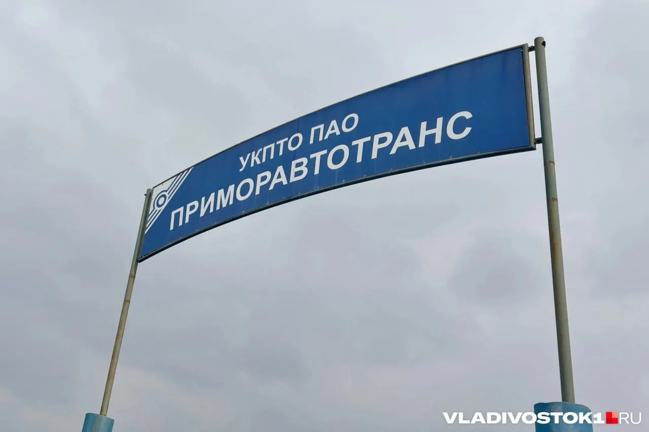 Суд не удовлетворил просьбу акционера об отмене ограничений на решения совета директоров; спор между акционером и гендиректором предприятия будет рассматриваться в мае—июне.