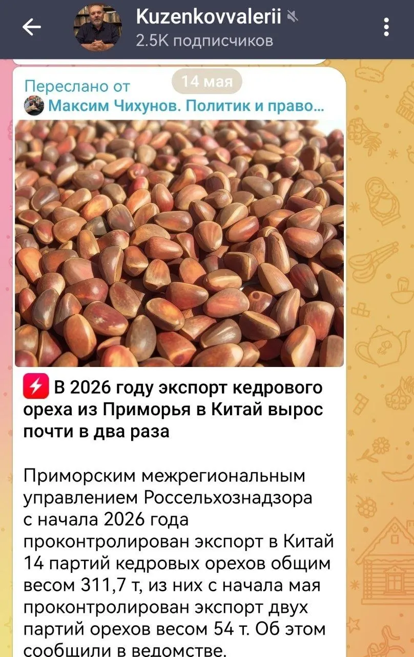 Депутаты и эксперты обсуждают, как рост поставок кедрового ореха из Приморья повлиял на дефицит шишки и поведение амурских тигров: мнения региональных властей и федеральных специалистов разошлись.