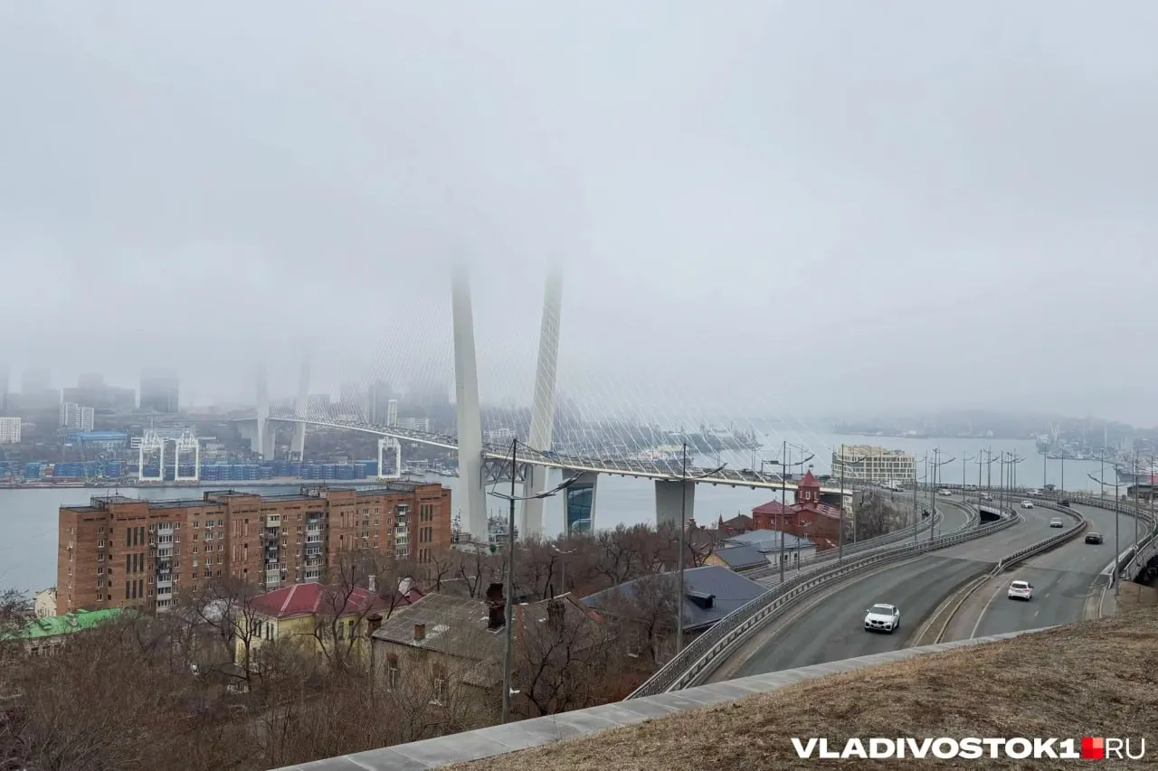 Ночью в Приморском крае местами небольшой, на севере — умеренный дождь; ветер юго‑западный. Днем ожидается прохлада, местами осадки и усиление ветра.