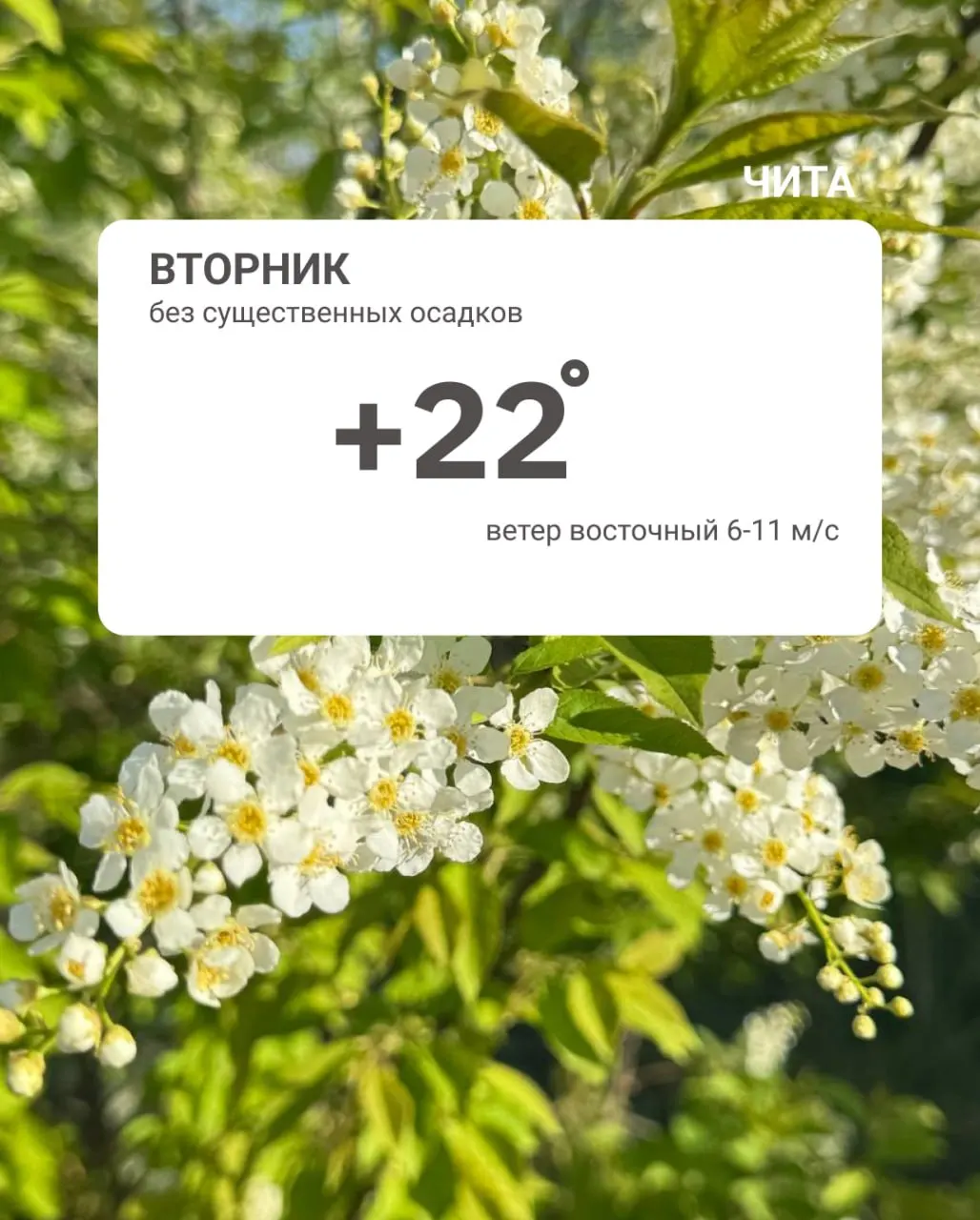 Ночью в Чите температура достигала +4°, по краю региона опускалась до −6°, местами было до +5°. Днём прогнозируют потепление.