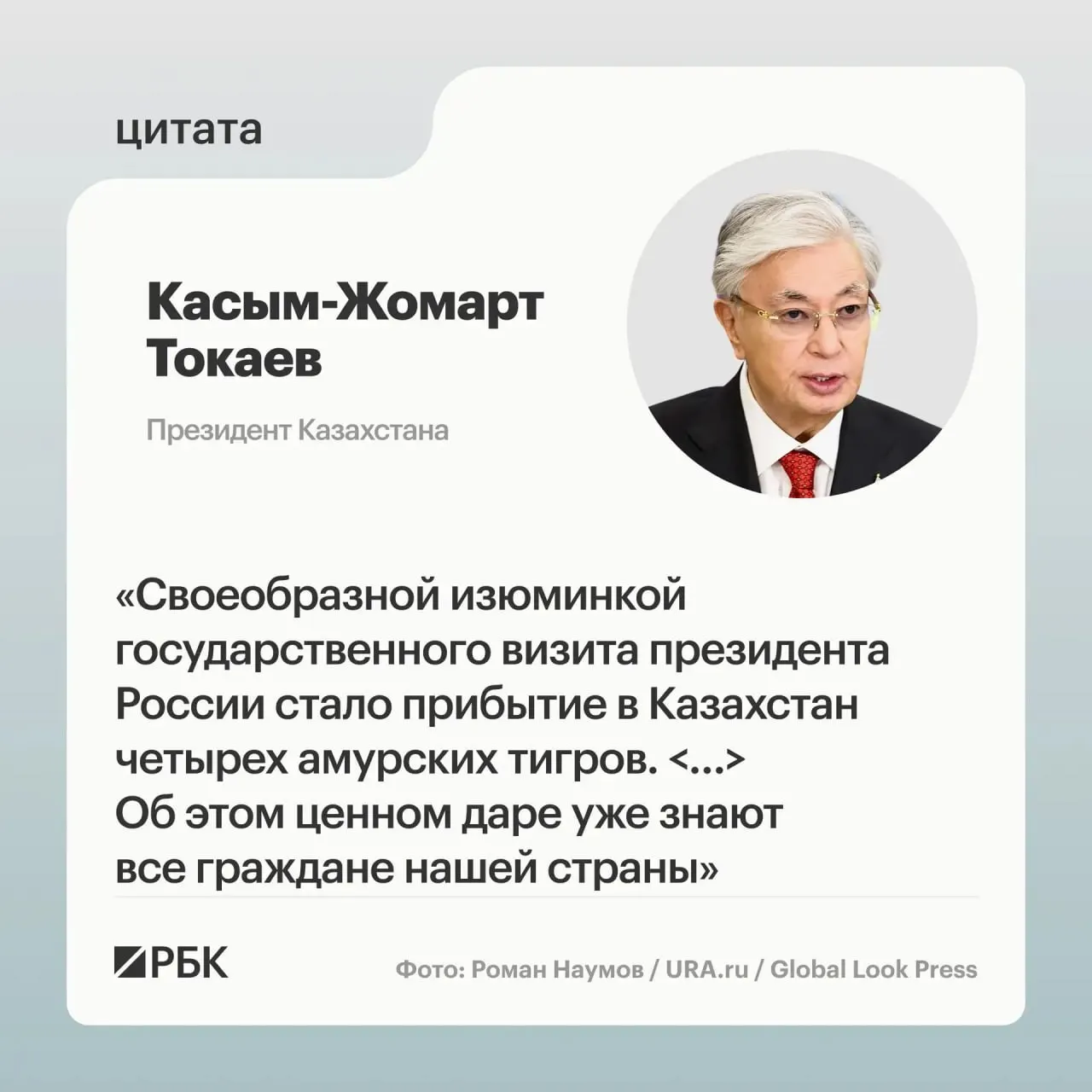 Президентам России и Казахстана показали презентацию о семействе амурских тигров, переданных Астане в рамках помощи по возрождению вида.