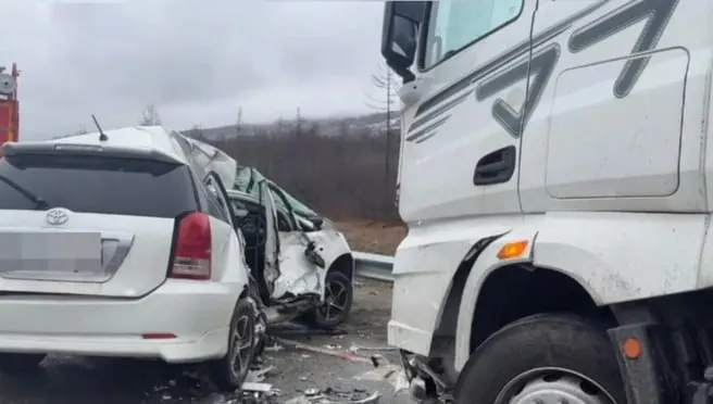 В Могочинском районе водитель Toyota Wish не справился с управлением и врезался в стоящую фуру — 35-летний житель Амурской области погиб на месте.
