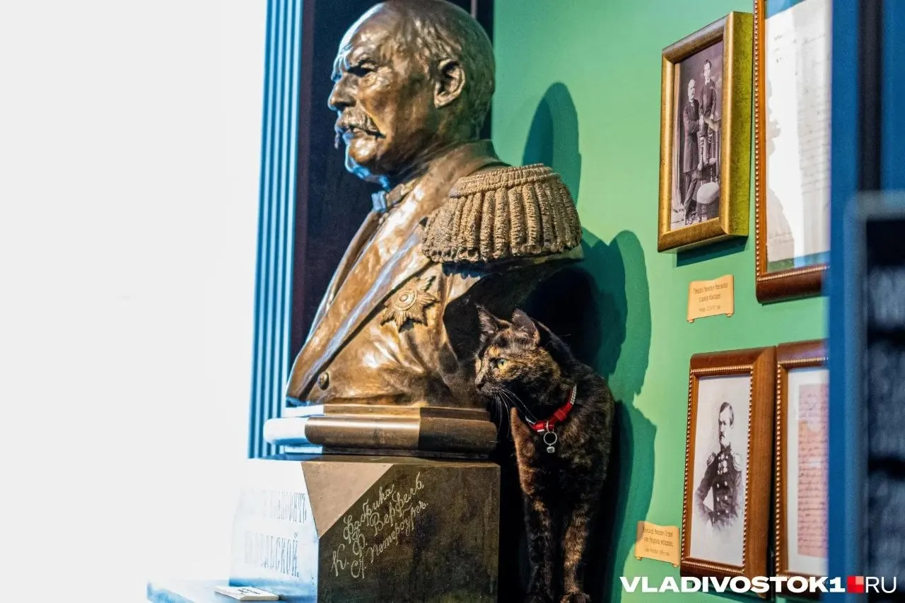 7 мая коллеги, партнёры и горожане провели Виктора Шалая. Губернатор Приморья Олег Кожемяко отметил его вклад — десятки выставок, новые экскурсии и придание Владивостокской крепости статуса памятника федерального значения.
