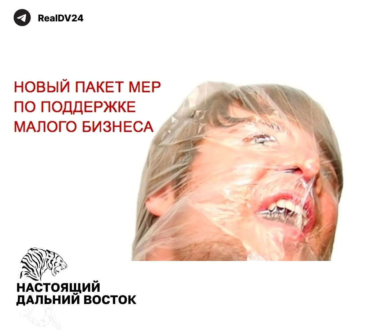 ФНС рекомендовала регионам ввести ряд мер для наращивания налоговых поступлений: расширение налогооблагаемой недвижимости, повышение транспортного налога, пересмотр льгот и ужесточение контроля за землепользованием.