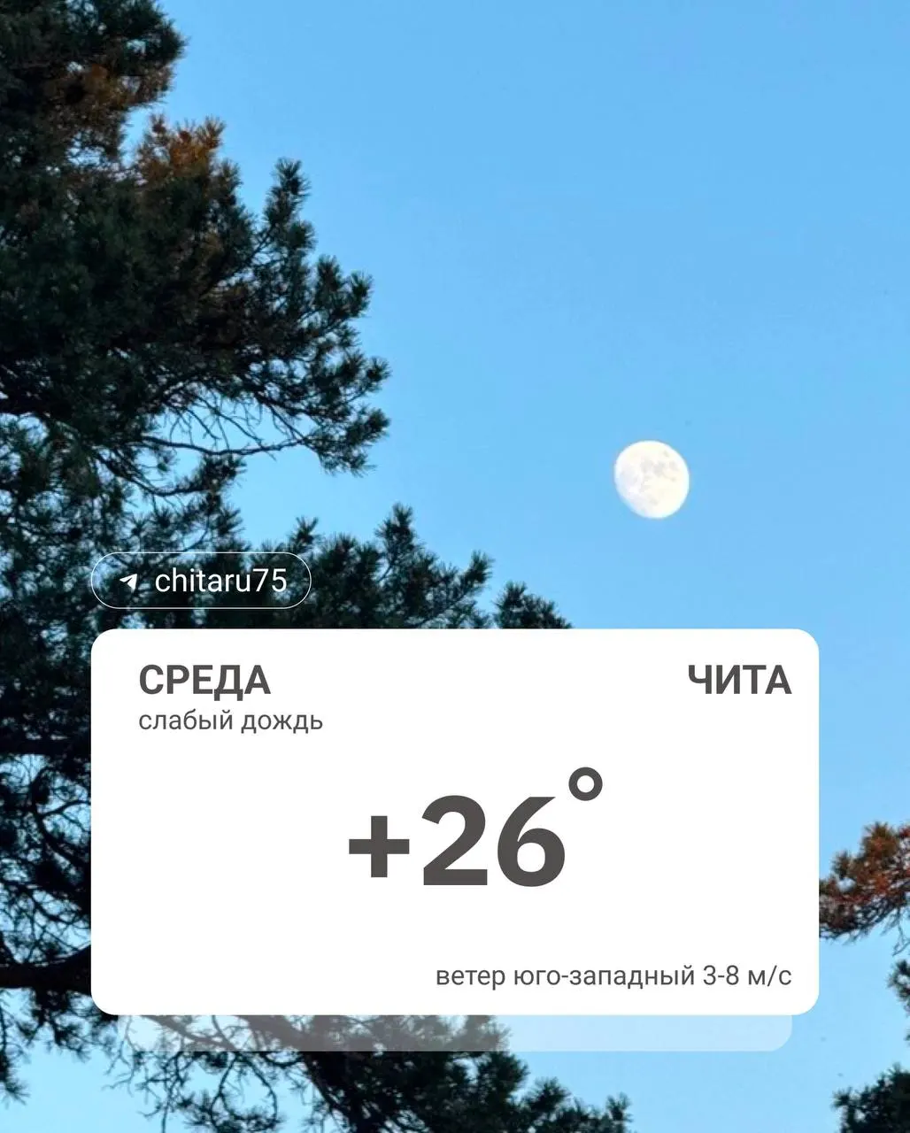 Ночные температуры в Чите держались на уровне +6…+8 °C, в районах края — от +1 до +6, местами до +11. Днём ожидается потепление.