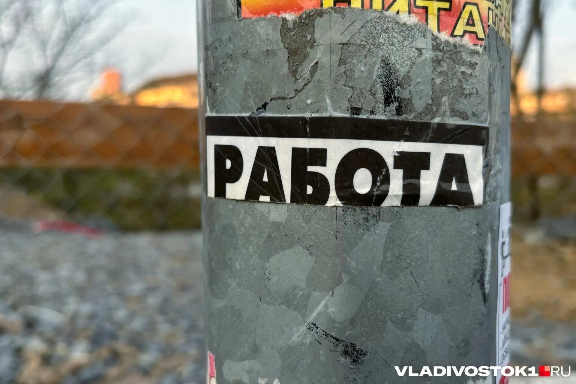 За январь—май 2026 года средняя месячная зарплата в регионе достигла 97 452 рублей — рост на 25% к тому же периоду 2025 года. Наибольший рост — у слесарей, ремонтников и сотрудников складов; во Владивостоке лидируют ЖКХ, страхование и бытовые услуги.