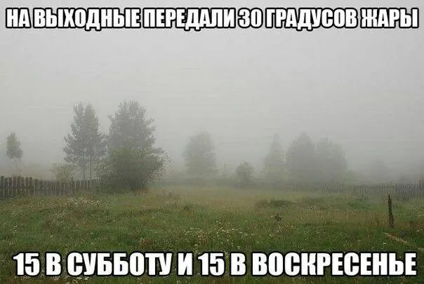 Академик РАН Владимир Клименко прогнозирует, что лето в центральных регионах будет чуть теплее нормы, возможны одна–две тепловые волны. Осадков ожидается немного меньше, на юге возможна засуха, а сильная жара вероятна в северных и приполярных районах.