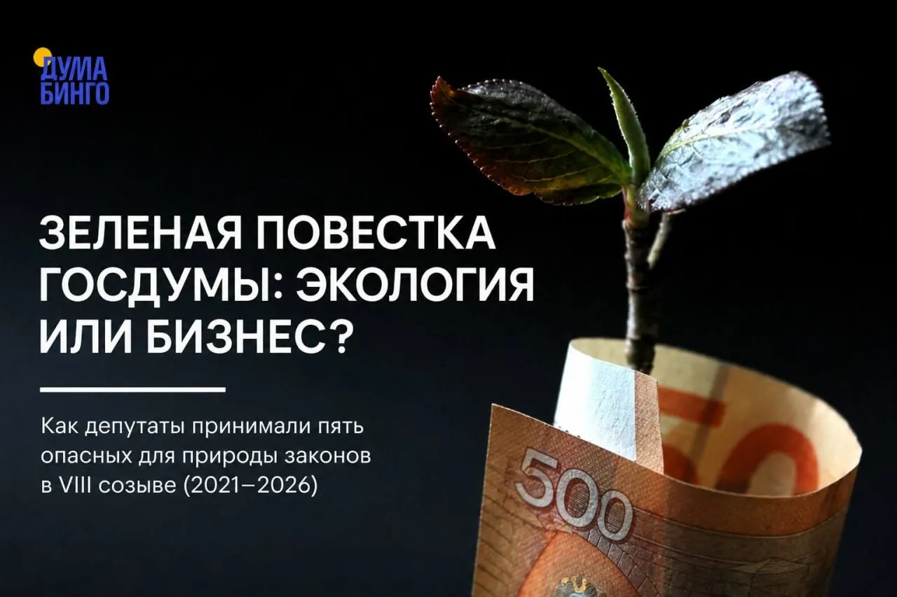 За последние годы в Госдуме прошли законопроекты, которые экологи и ученые считают ослабляющими природоохранное регулирование: от ограничения общественного контроля до разрешений на добычу редких видов.
