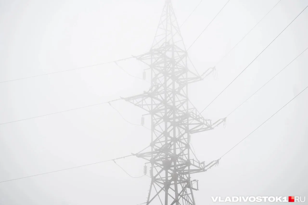 26 июня в Приморском крае переменная облачность. В центральных районах возможны кратковременные дожди и грозы, на побережье — местами сильные осадки. Днём прогнозируется +21…+28 °C, ночью +13…+16 °C.