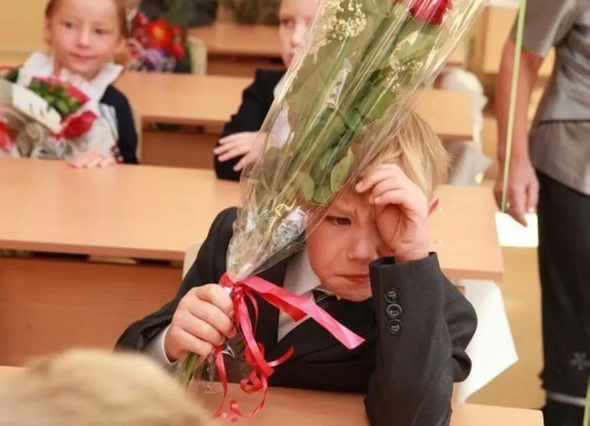 Замглавы Минпросвещения заявил, что 11 лет — оптимальная длительность школьного образования; сокращать или увеличивать сроки не планируют. Все новые стандарты и корректировки будут вводиться с расчётом на 11 классов.