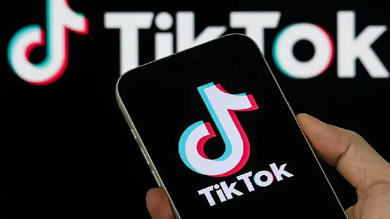 Платформу наказали после того, как она не удалила два видео, признанные пропагандой нетрадиционных сексуальных отношений.