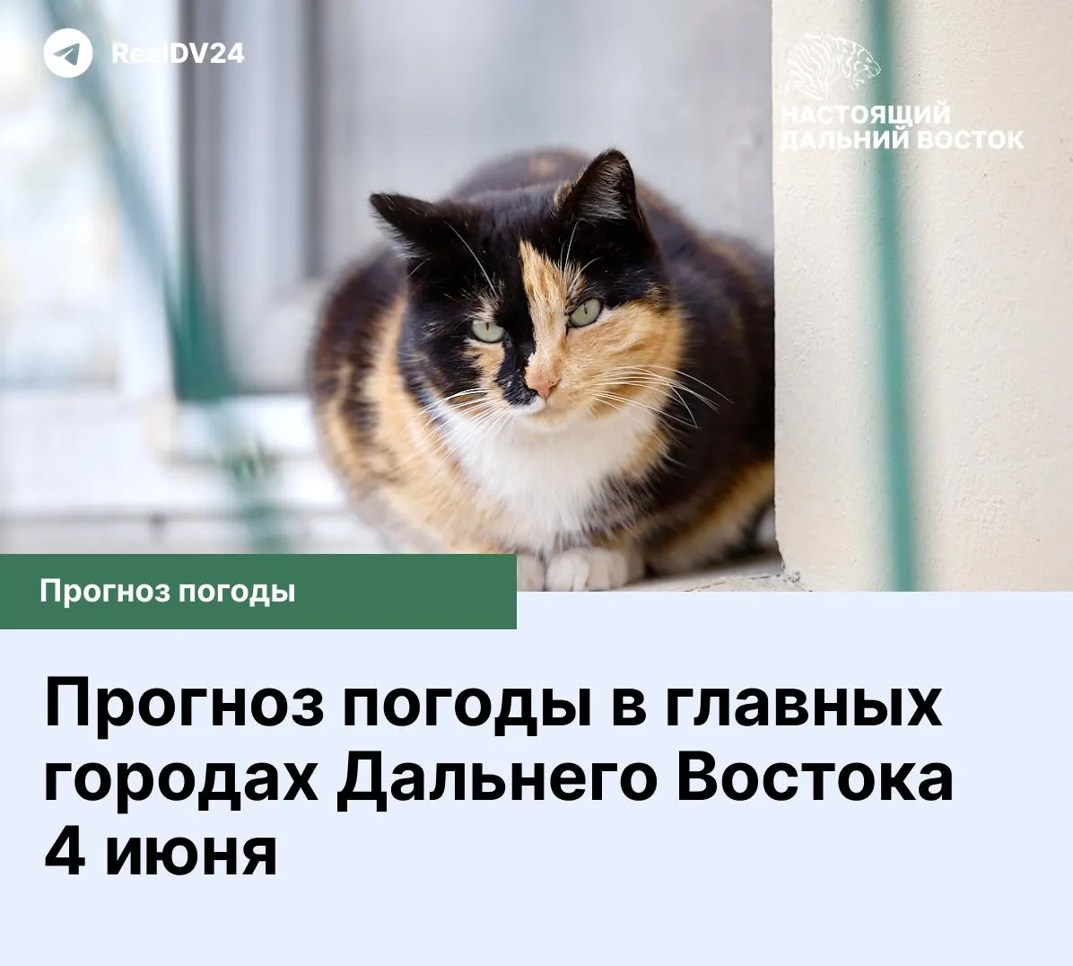 В большинстве городов Дальнего Востока ожидается облачная погода; дневные температуры в основном от +7 до +17°C. Детали по крупным городам региона.