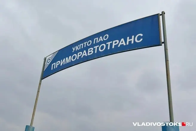 Арбитражный суд Приморского края возбудил дело по иску предпринимателя, который потребовал обязать ПАО провести годовое собрание акционеров; в деле участвуют гендиректор предприятия и АО «Статус».