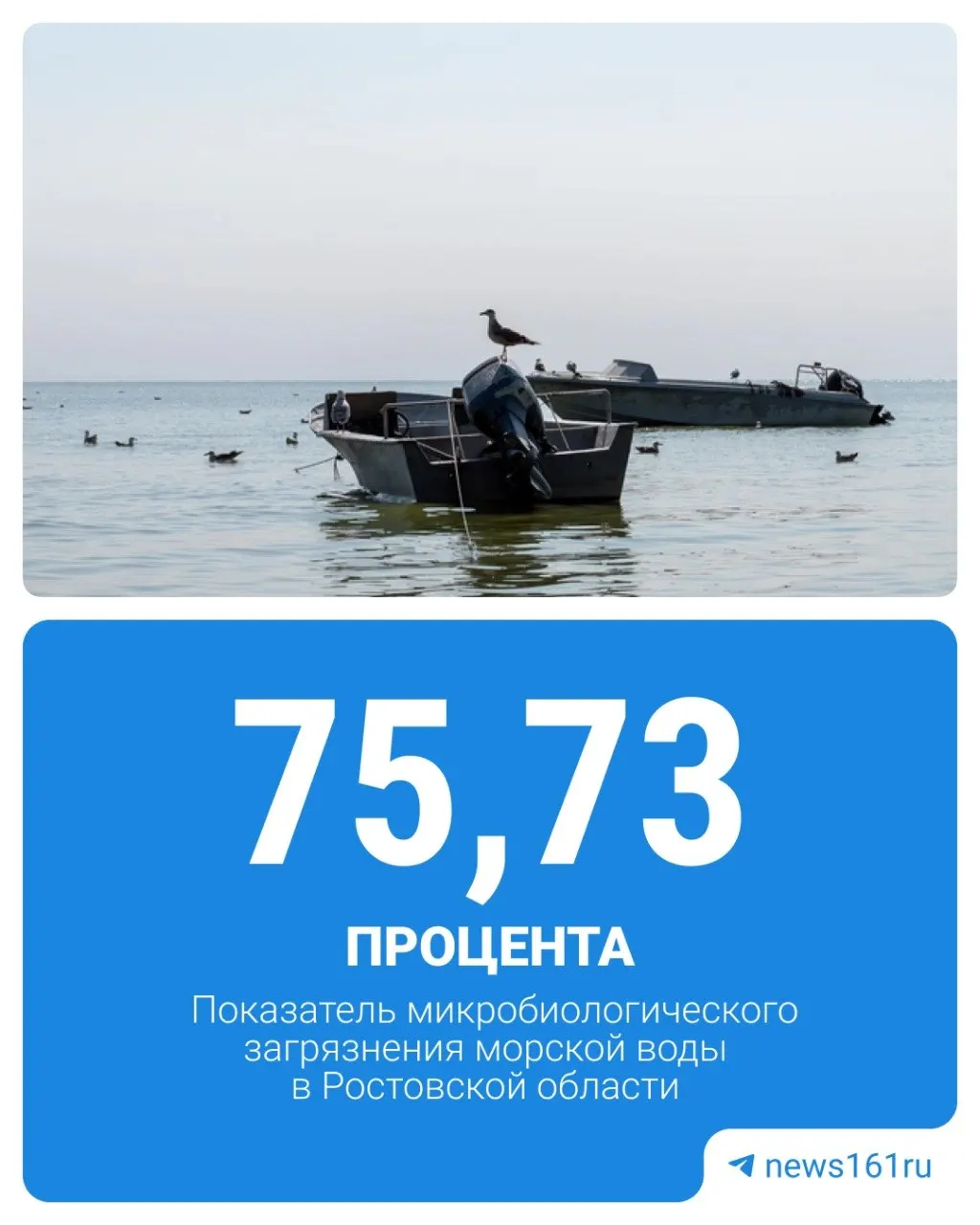 По данным Роспотребнадзора за 2025 год 75,73% проб на побережье Таганрогского залива не соответствуют нормам; хуже показатели только в Санкт‑Петербурге и Хабаровском крае.