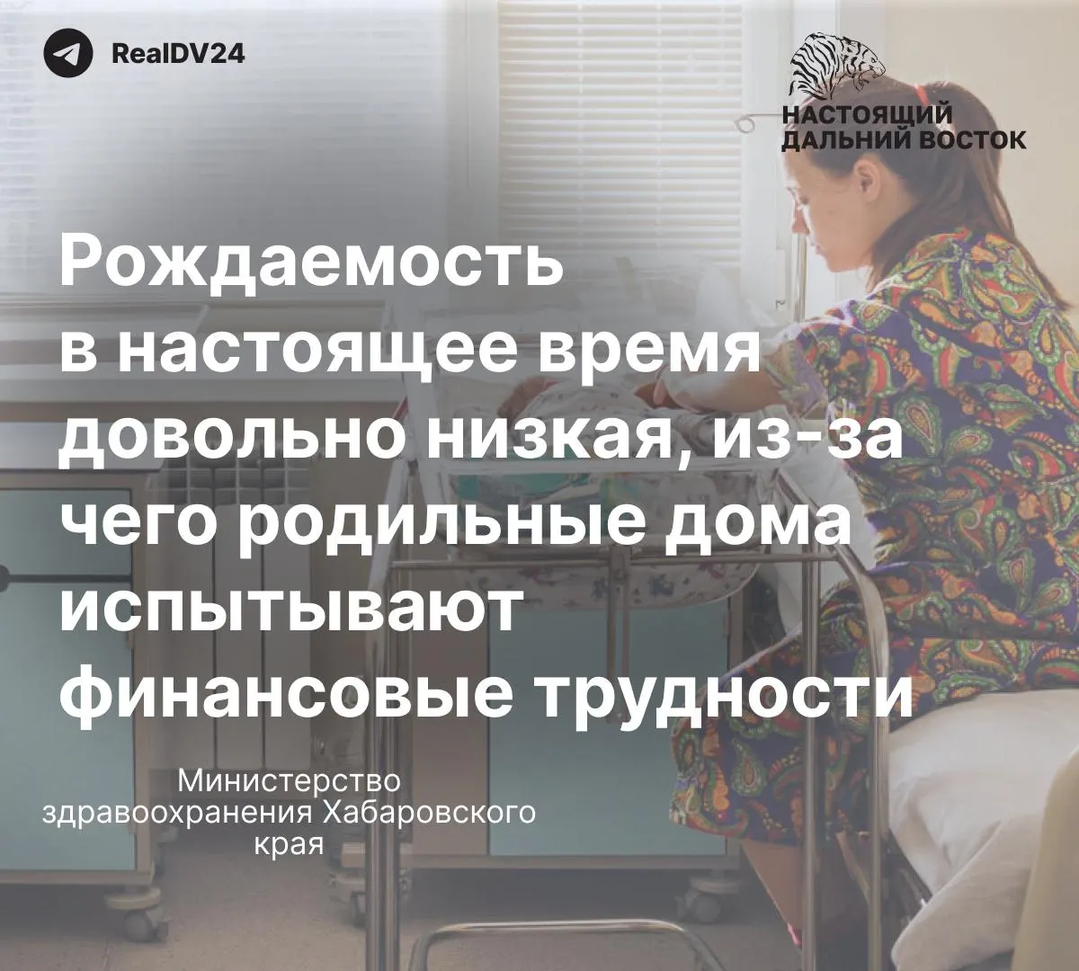 Жительница Хабаровска пожаловалась на снятые сиденья с унитазов и сломанный смеситель в душевой роддомов. В региональном Минздраве это связывают с низкой рождаемостью и обещают ремонт в июле и сентябре 2026 года — женщины требуют срочных мер.