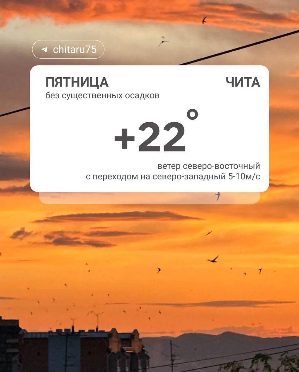 Ночью в Чите минимум +6°C, по краю преимущественно +6…+11°C, местами на севере 0…+5°C. Днем ожидается повышение температуры.