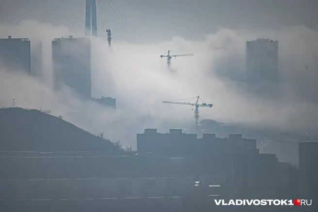 По данным исследования на основе Росприроднадзора, в 2025 году Приморье выбросило 252,3 тыс. тонн загрязняющих веществ — рост на 0,9%, что вывело край на 24-е место в России и третье в ДФО.