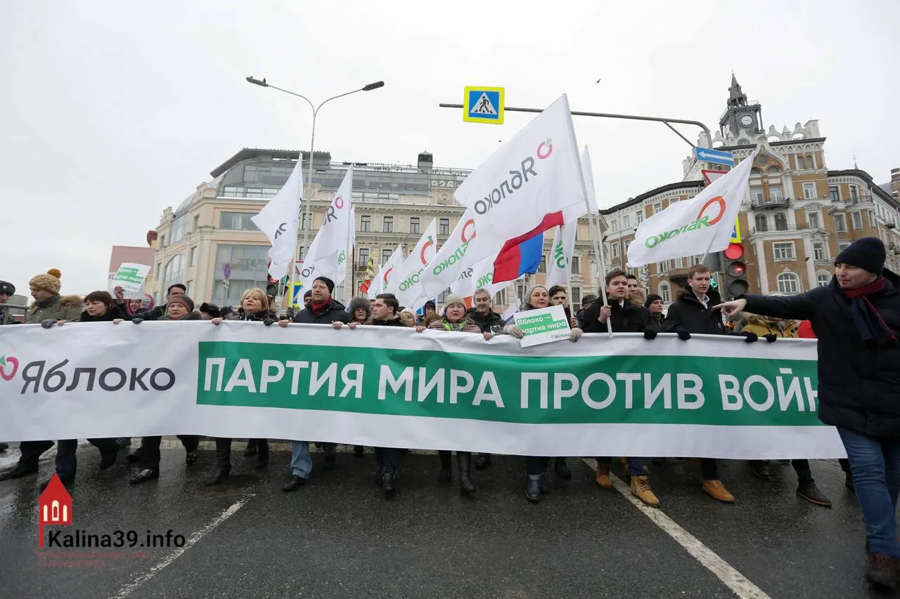 После регистрации федерального списка эксперты связывают решение с желанием властей канализировать протестные настроения. При этом многих известных членов партии не допустили к выборам из‑за статуса «иноагента» и преследований.