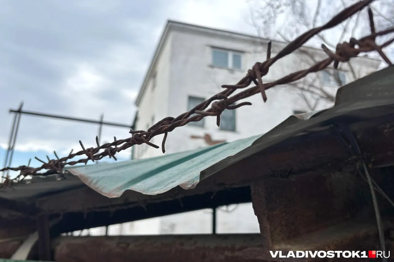 Суд во Владивостоке назначил 25‑летнему гражданину Колумбии девять лет колонии строгого режима за покушение на сбыт крупной партии синтетических наркотиков; приговор пока не вступил в силу.