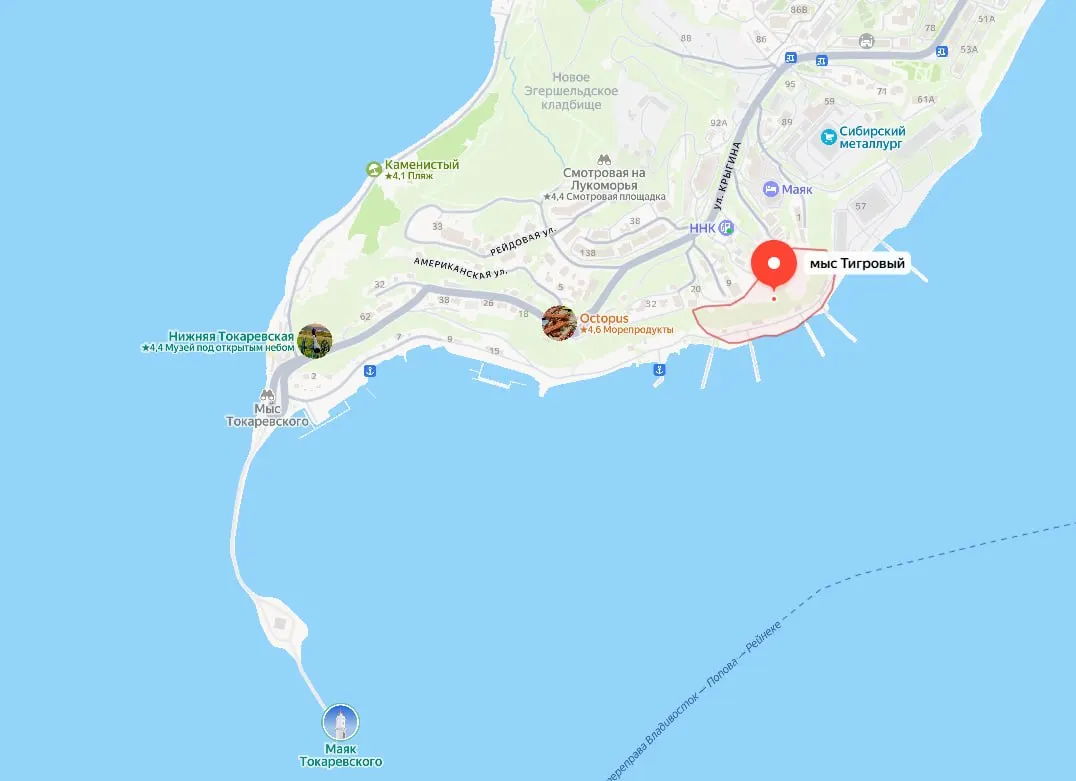 Главгосэкспертиза утвердила проект намыва площадью более 12,5 тыс. м² в проливе Босфор Восточный: на территории построят два причала, объект войдёт в прибрежную программу Приморья и будет частью курортно-туристического кластера.