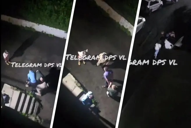 Ночью во дворе дома на улице Луговой во Владивостоке трое неизвестных в гражданской одежде скрутили и заковали в наручники мужчину, после чего вывезли его на легковом автомобиле. Полиция проводит проверку.