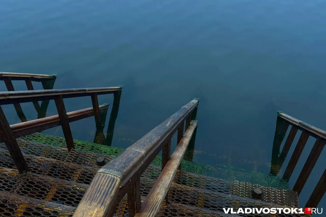 Средняя температура моря в Приморском крае около 18 °C; в заливе Посьет вода прогрелась до 21,5 °C. Также приводятся данные по Владивостоку, Находке, Сосуново и Рудной Пристани.