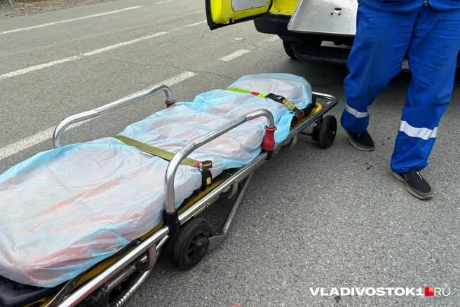 В доме на ул. Леонова с 30 июня 2024 года не работают четыре лифта. Пожилые и маломобильные жители испытывают серьёзные трудности — Следственный комитет начал проверку по ст. 238 УК РФ.