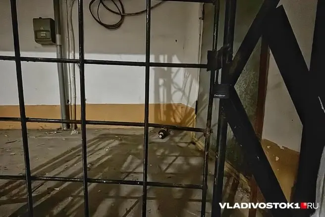 В Приморском крае суд вынес решение по делу об убийстве 12-летней девочки: двух несовершеннолетних поместят в закрытое учреждение на три года.