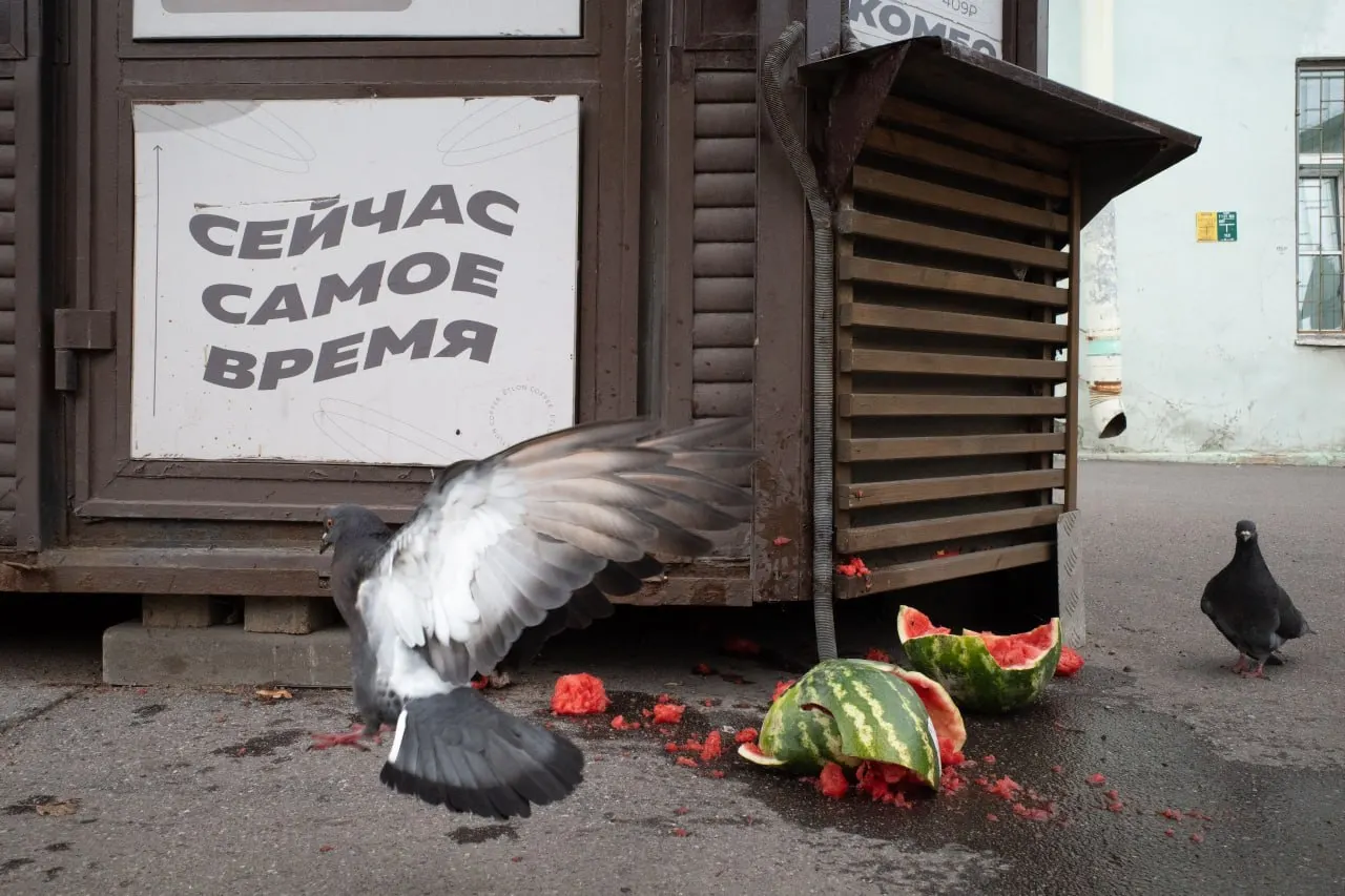 Сводка по Санкт‑Петербургу и регионам: штраф за антивоенную позицию священника, новые иски к выборам, церковные службы и политические перестановки, а также кибератаки на сайты партий.