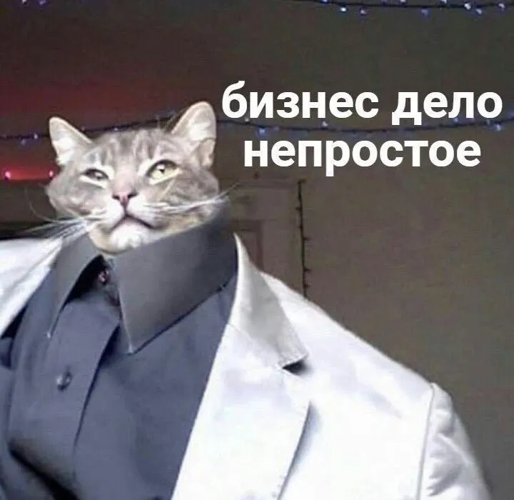За год спрос на деловые поездки на Восточный экономический форум снизился примерно на 23–50%: авиабилеты и проживание стали дороже, а бронирования — реже.