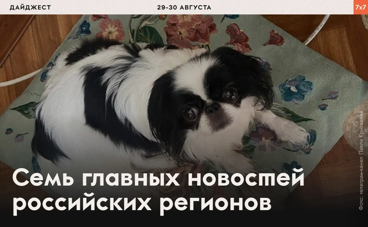 Короткий обзор событий: аресты политзаключённых, запреты на агитацию и давление на активистов в разных регионах.