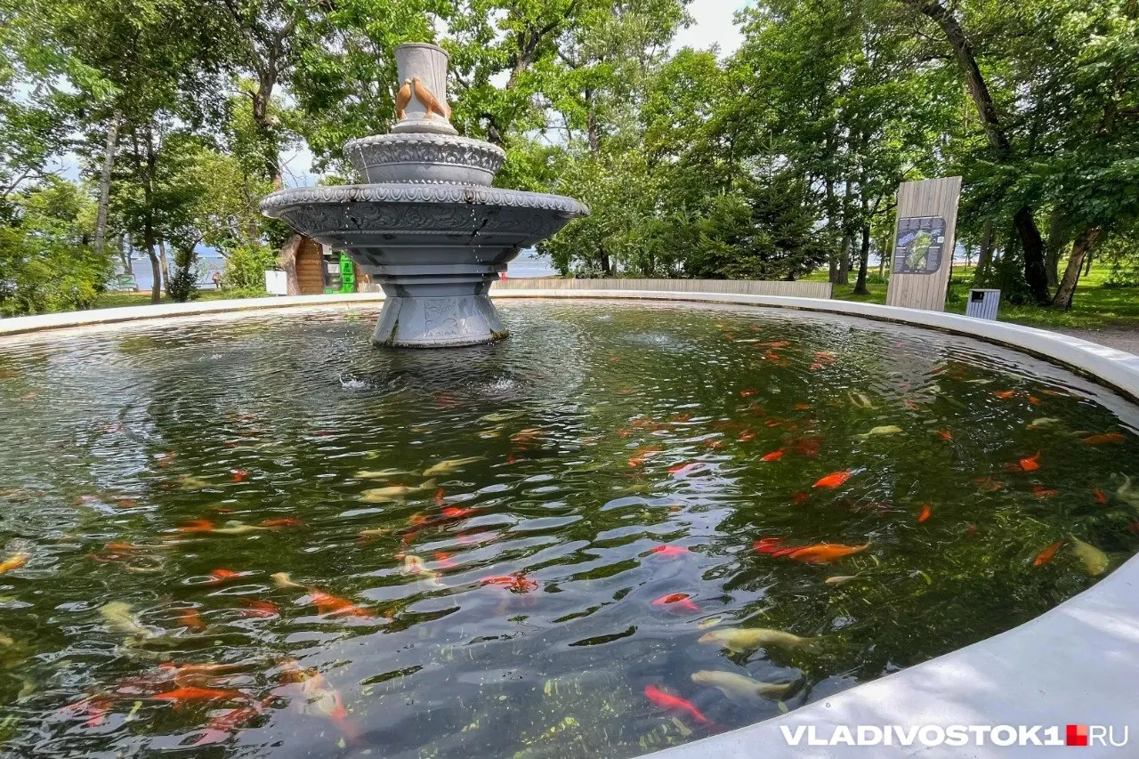 В Приморье назвали победителей конкурса по благоустройству городской среды; шесть городов и один поселок получат финансирование в размере 1,2 млрд рублей.