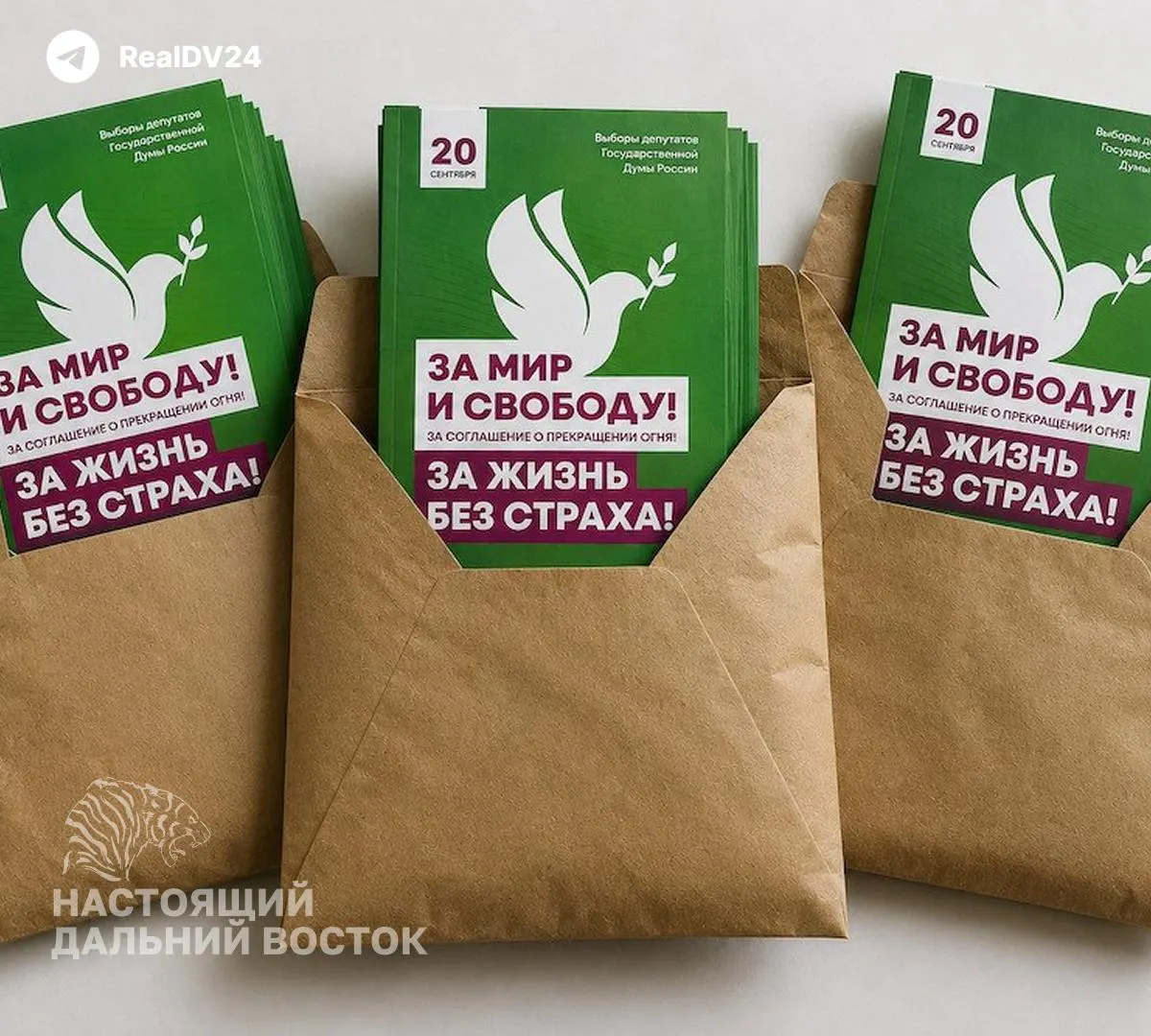 Партия объявила о новой общероссийской кампании и предложила всем желающим бесплатно получить набор материалов.