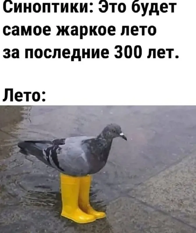 Ожидаются обильные осадки и подъем уровней рек, что может привести к подтоплениям дорог и участков. Водителям рекомендуется снижать скорость и держать дистанцию.