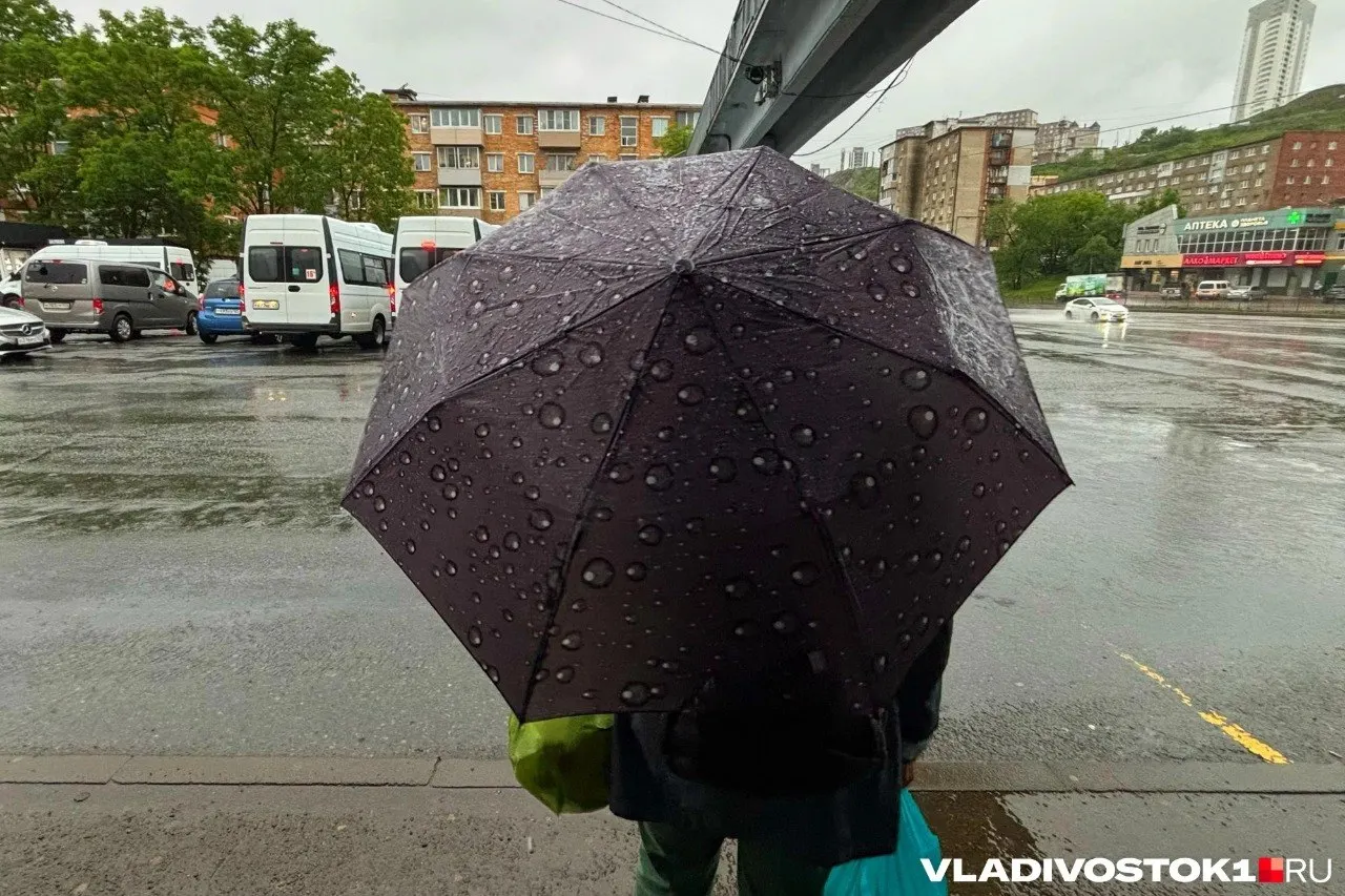 Ночью в Приморском крае переменная облачность, на севере возможен кратковременный дождь; ночью +15…+20°C, днем потепление до +26…+31°C. Во Владивостоке, Уссурийске и Находке существенных осадков не ожидается, но усилится ветер.
