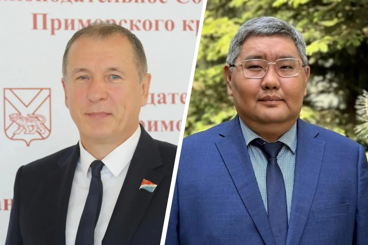 В Приморском крае изучаются доходы кандидатов в Госдуму, приводятся данные об их активах и источниках дохода.