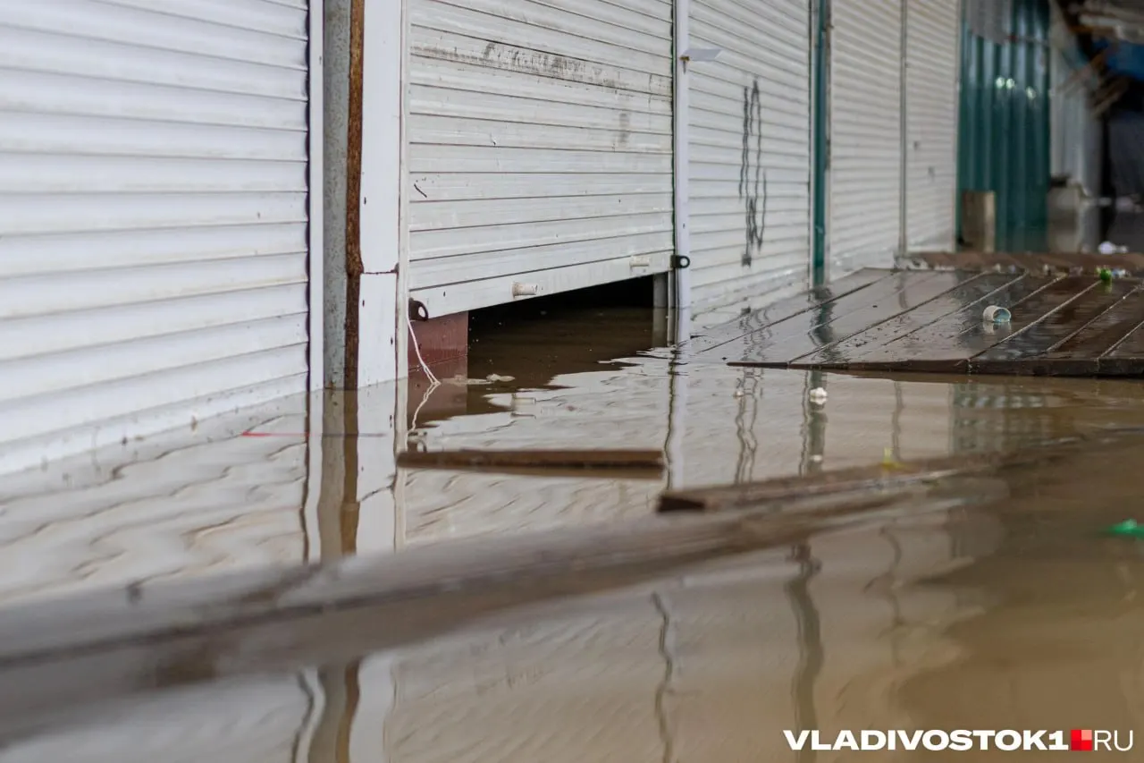 В Приморье ожидаются опасные гидрологические явления: повышение уровня рек Варфоломеевка и Арсеньевка с риском подтоплений дорог, сельхозугодий и населённых низин. Жителям рекомендуют заранее подготовить документы, вещи первой необходимости и перевести животных в безопасные места.