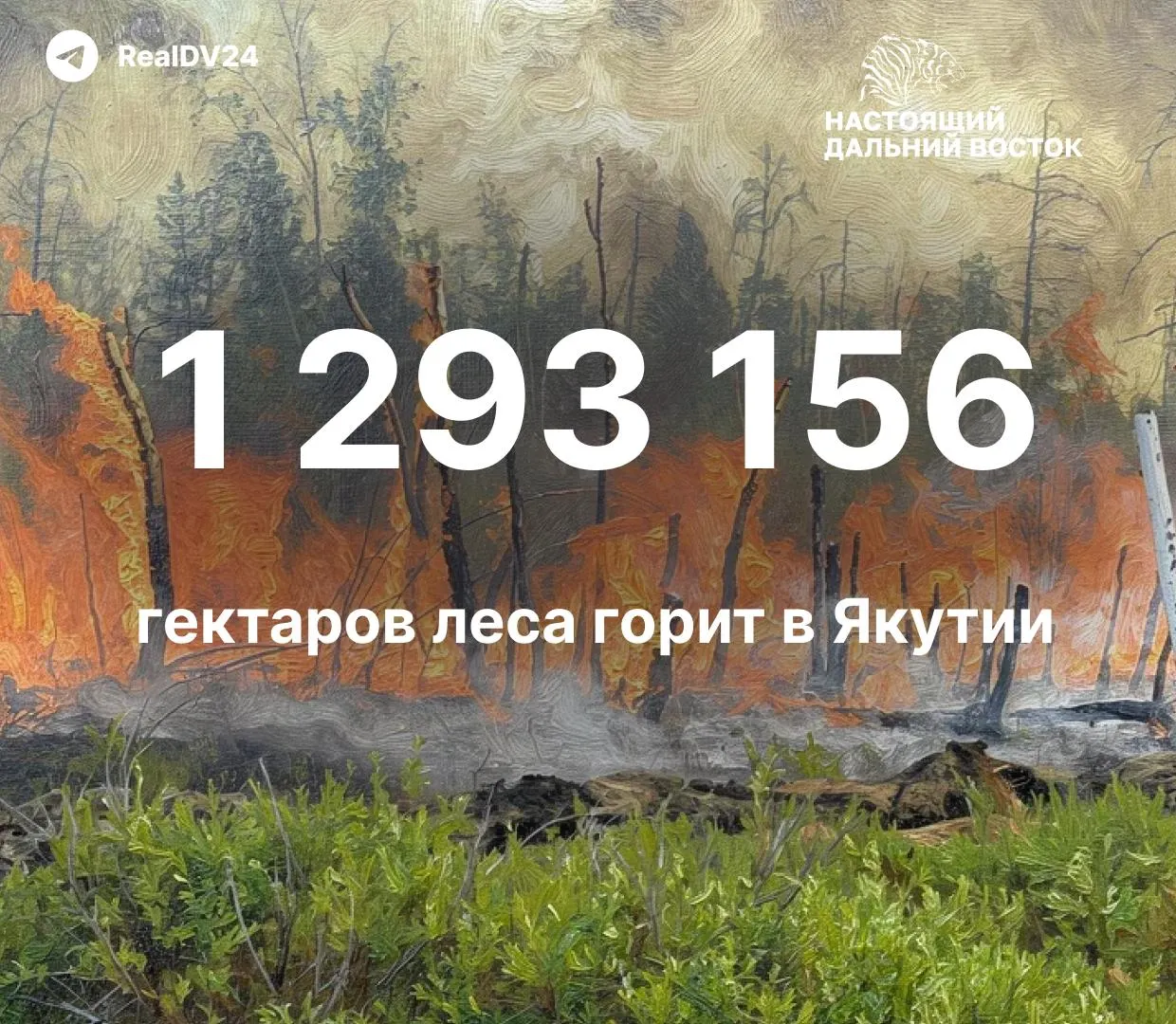 В республике зафиксировано множество лесных пожаров; общая площадь пройденного огнем достигает 1,29 млн гектаров, тушение продолжается.