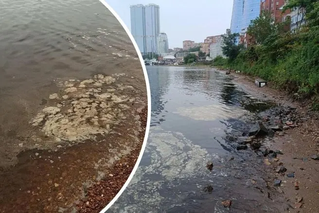 Массовое цветение водоросли фиброкапса вызывает помутнение воды и слизистые налеты на берегах Приморского края. Учёные объясняют причины и риски, но купание остаётся возможным.