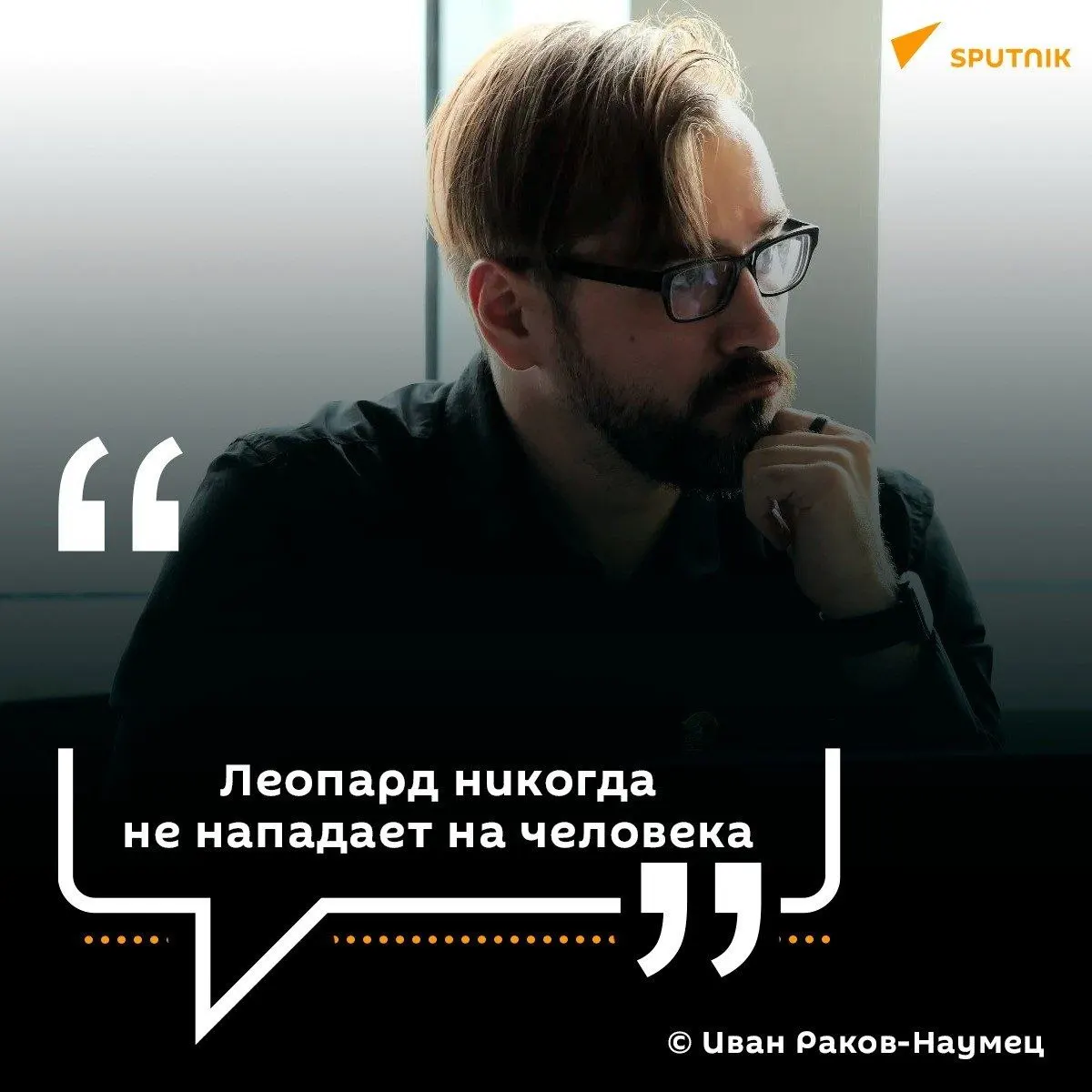 Численность дальневосточного леопарда в Приморье выросла: с примерно 35 особей пять лет назад до 223 сегодня. Экологи объясняют рост эффективной охраной, гармонией экосистемы и активным мониторингом.