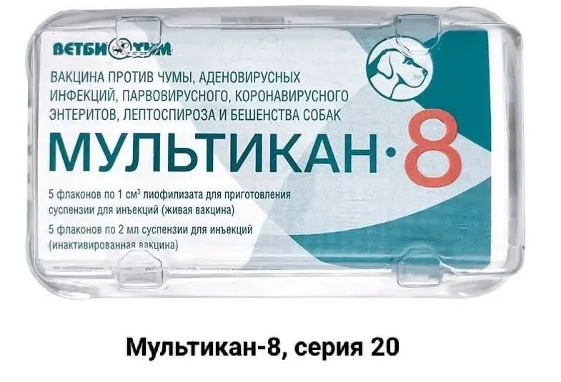 Хозяева собак, погибших после вакцинации, обращаются к блогерам и журналистам с призывом довести проблему до широкой аудитории и проверить вакцинацию на вирус Ауески.