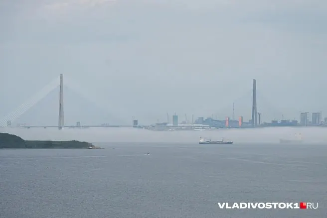 Тело мужчины, предположительно дайвера, найдено во время подводных поисков у острова Русский во Владивостоке; личность погибшего пока не установлена.