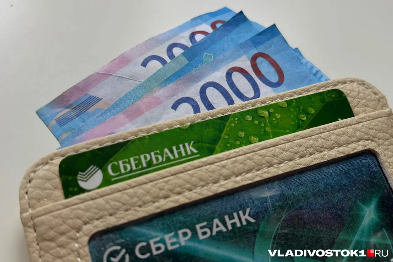 Администрация Владивостока утвердила выплаты по 30 тысяч рублей за активное участие в охране порядка и поиск пропавших; выплаты проводятся два раза в год, с необходимостью подачи ходатайства через городское МВД.