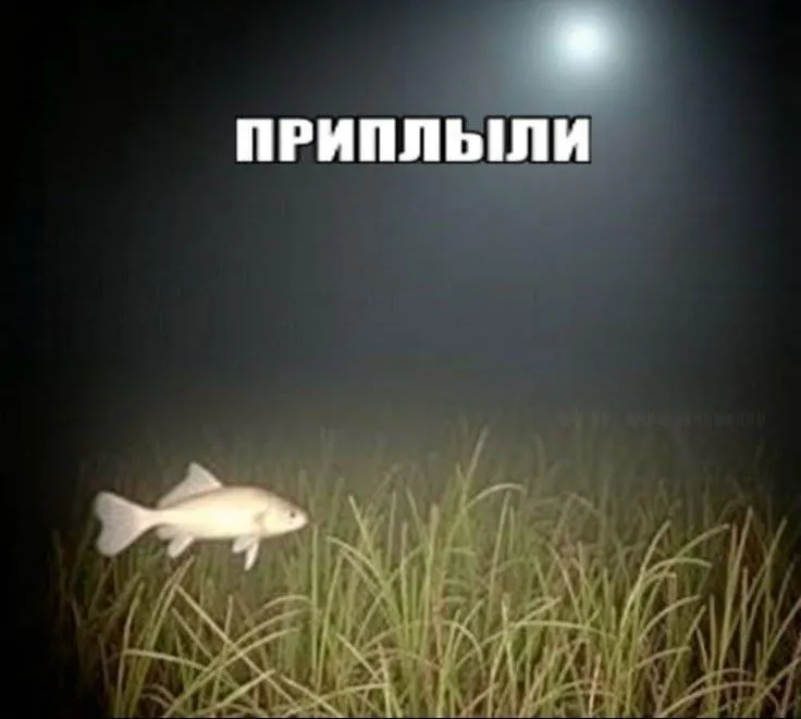 26-летняя женщина попалась на мошенническую схему через мессенджер: она перевела мошенникам свыше 500 тыс. рублей и привела доверенное лицо; по делу возбуждено уголовное дело о мошенничестве в особо крупном размере.