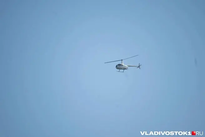 Осенью родственники планируют отправиться в Тернейский округ и организовать поиск совместно с волонтёрскими объединениями.
