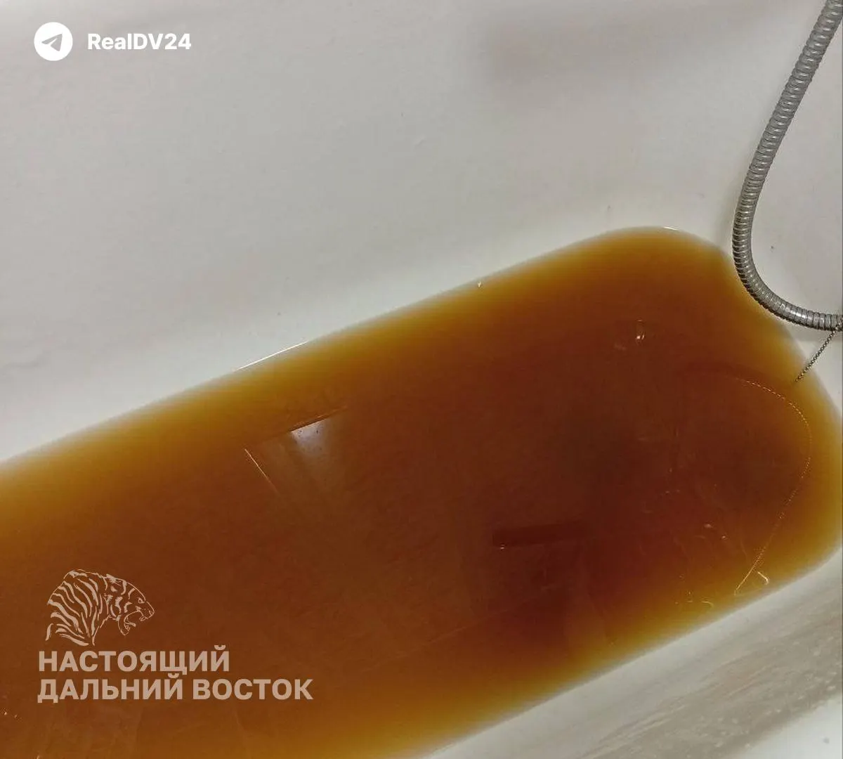 Мутная вода из кранов, отключение горячего водоснабжения и попытки города решить кризис водоснабжения; власти обещают нормализацию к концу августа 2026 года.