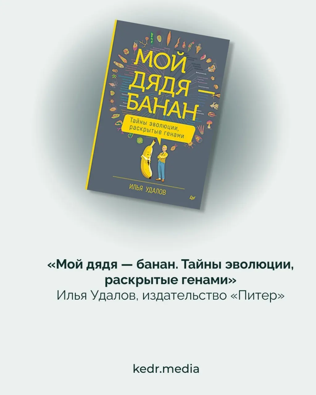 Региональная премия объявила финалистов в области естественных и точных наук: представлены истории о природе, эволюции и ролях растений.