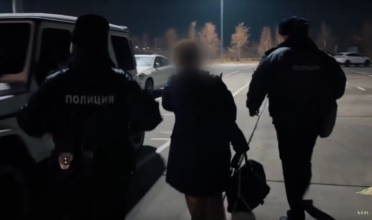 Женщина арестована после возвращения в Россию из-за истекшей визы; ей предъявлено обвинение по ст. 125 УК РФ. Дочь была оставлена в отеле Таиланда и поместили в детский дом после пропажи матери.